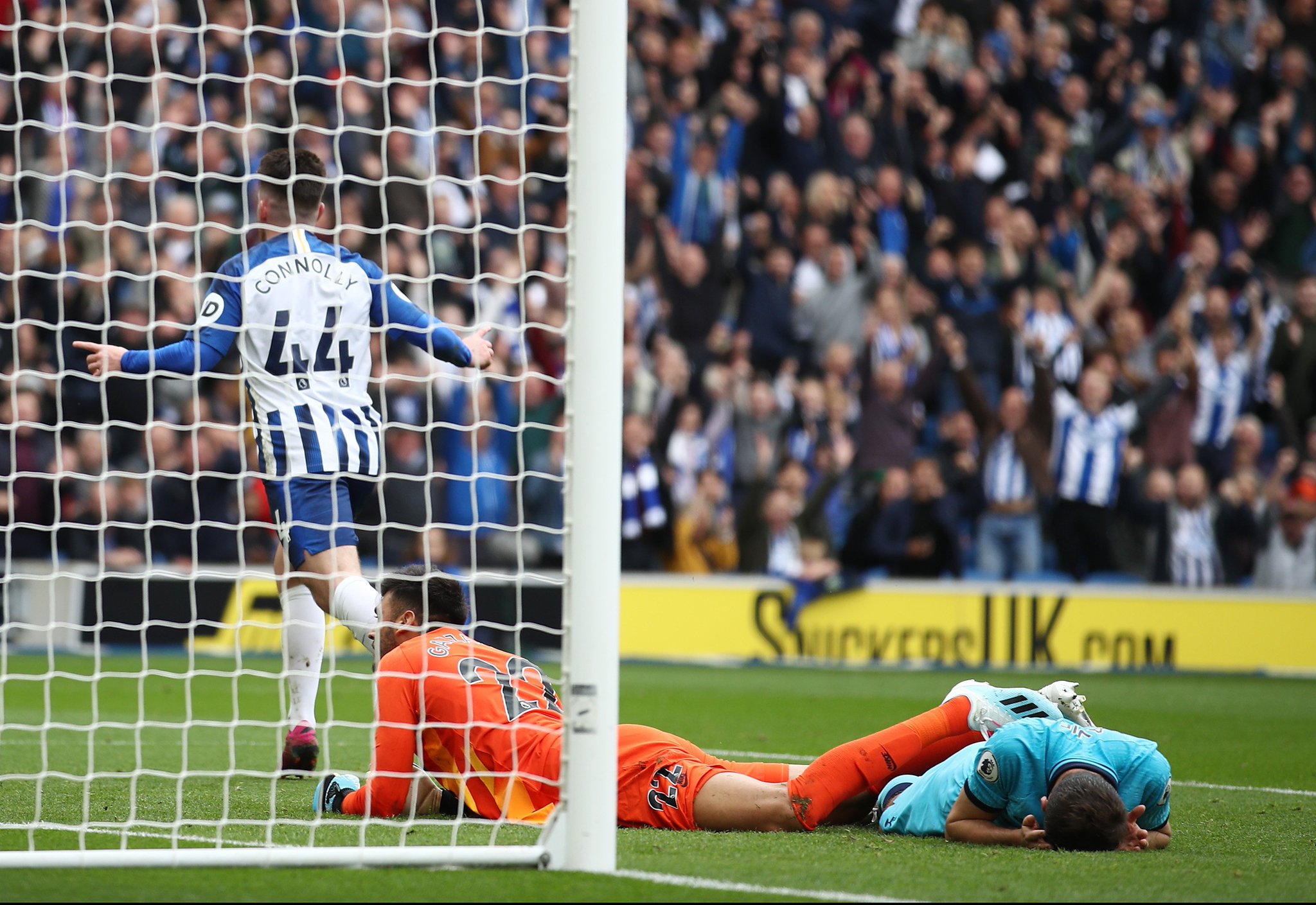 程序和个人 程序和个人